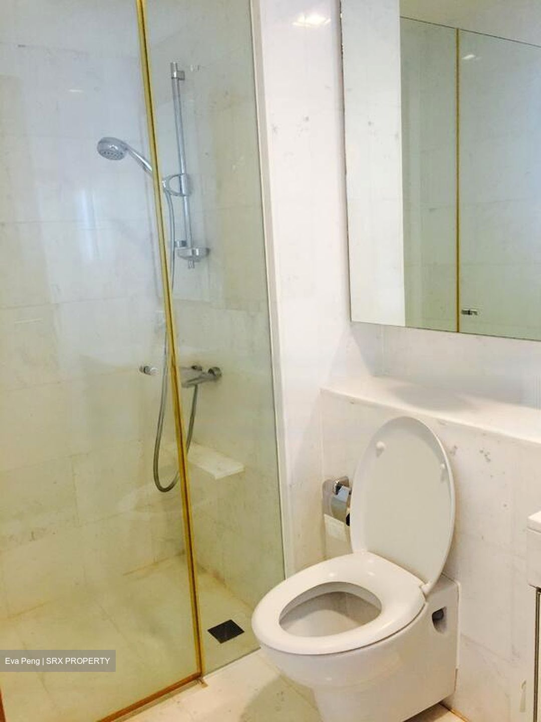 Tribeca (D9), Condominium #471703001